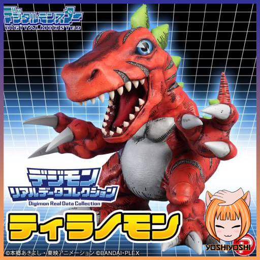 6332460779084385962_logoframe