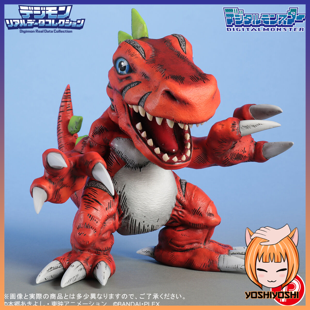 realdata02_january29_2026_logoframe