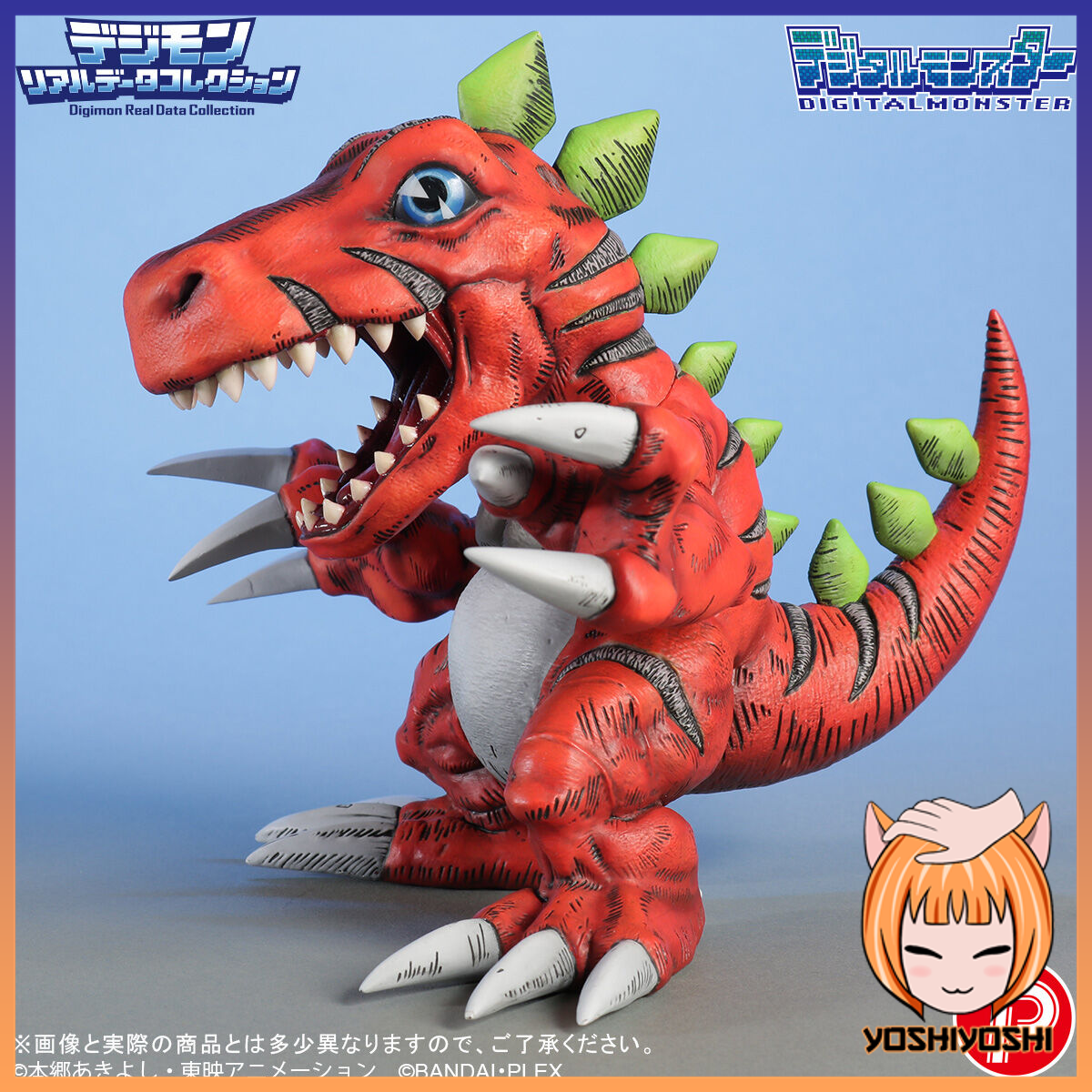 realdata05_january29_2026_logoframe