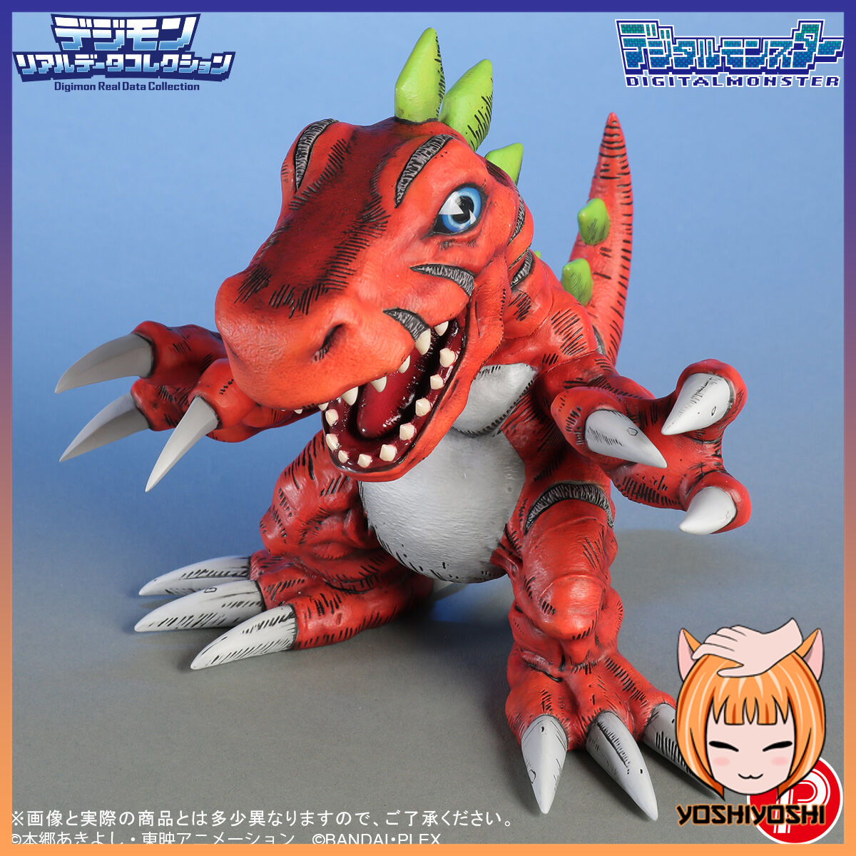 realdata07_january29_2026_logoframe