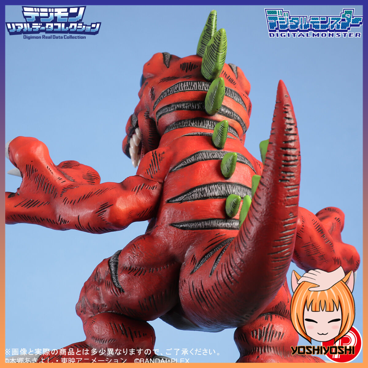 realdata09_january29_2026_logoframe