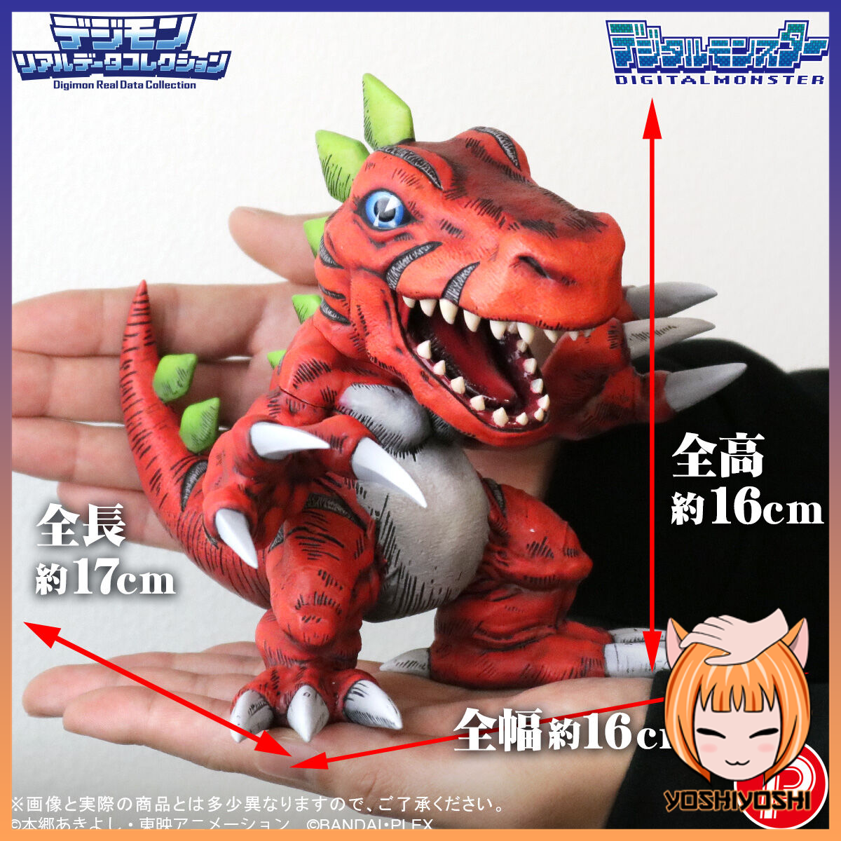 realdata10_january29_2026_logoframe